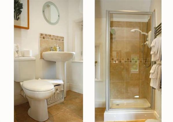 A bathroom with a toilet, sink, and shower area.
