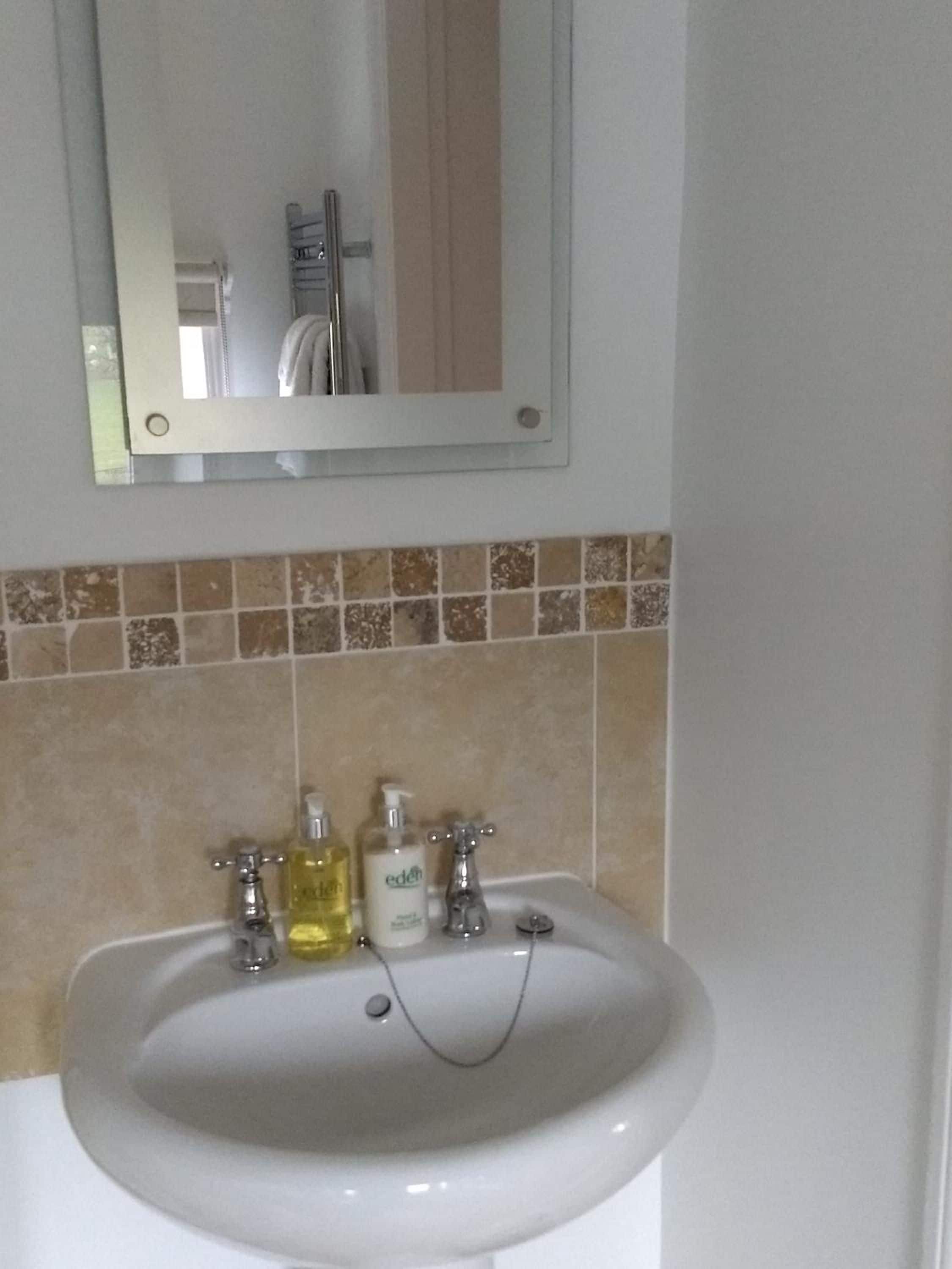 A bathroom with a white sink, two faucets, and two bottles of liquid soap.