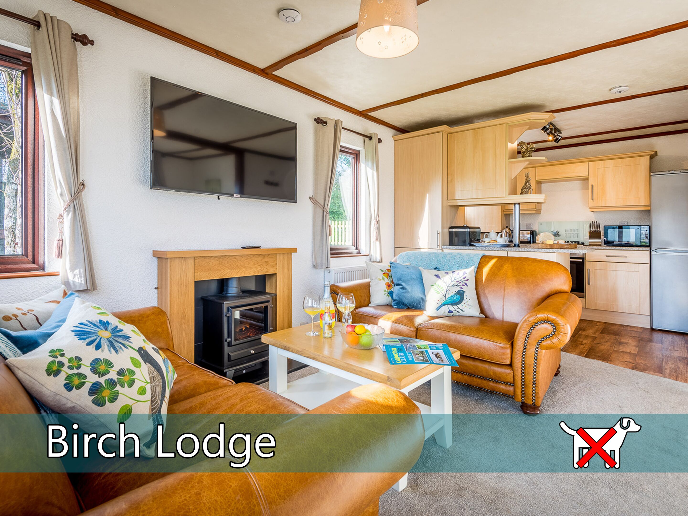 Lejlighed - privat badeværelse (Birch Lodge) | Lounge | Pub