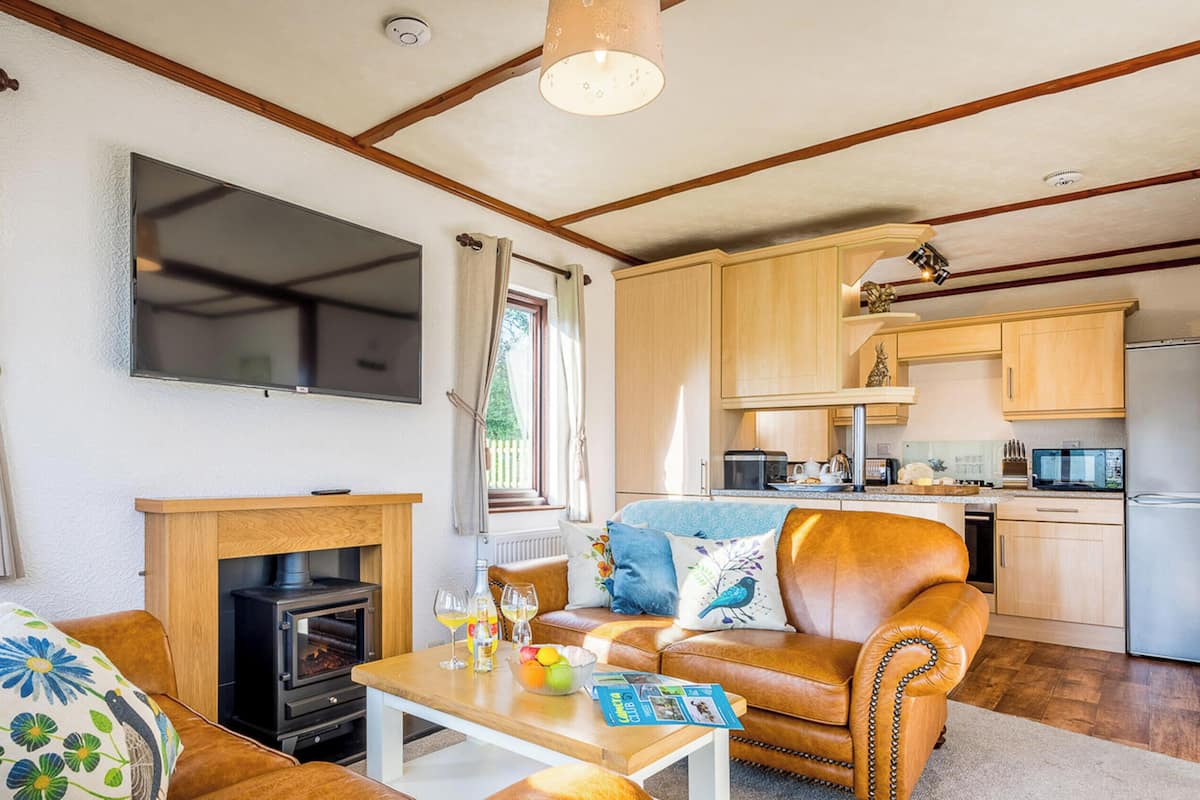 Apartment, Private Bathroom (Birch Lodge) | Lounge | Pub