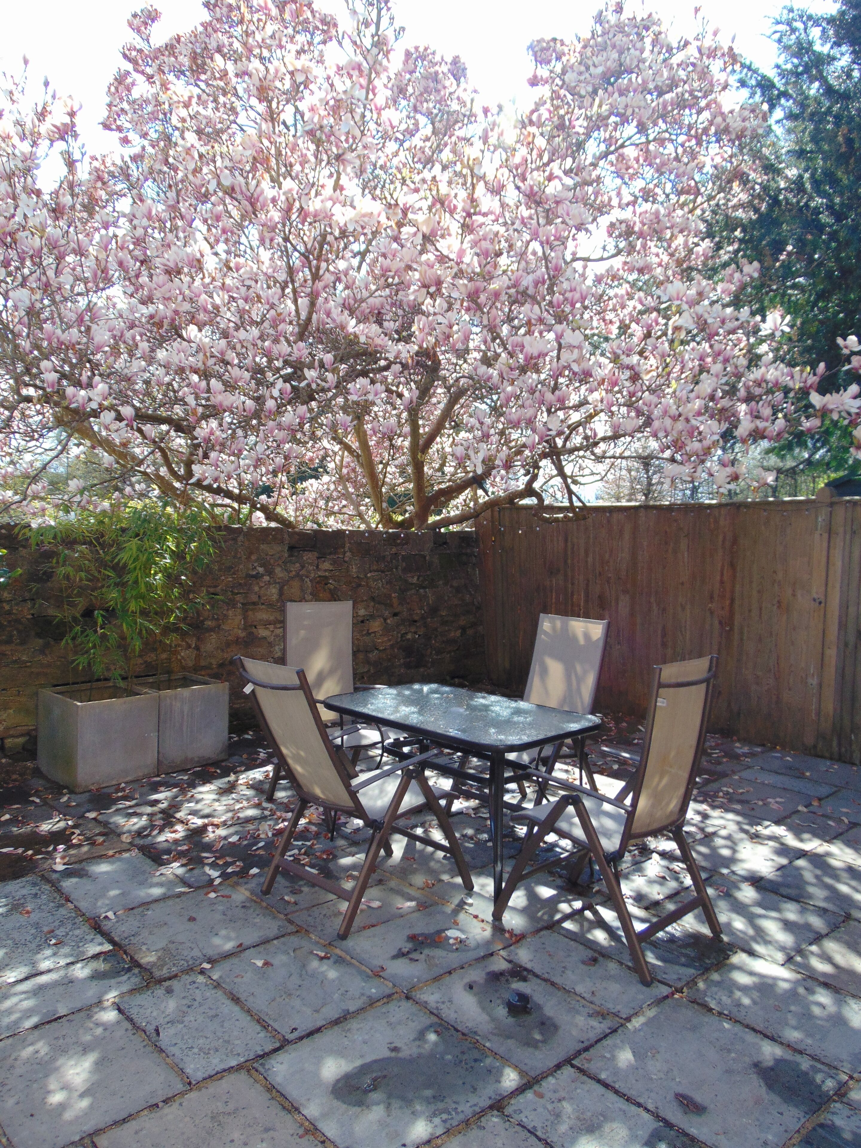 Cottage Standard, 1 chambre | Terrasse/Patio