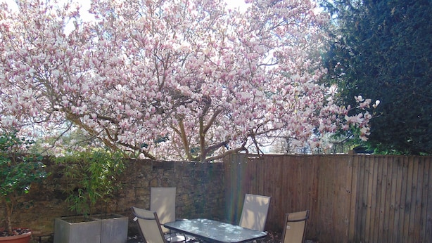 Un patio con una mesa y sillas, rodeado por un muro de piedra y una valla de madera.