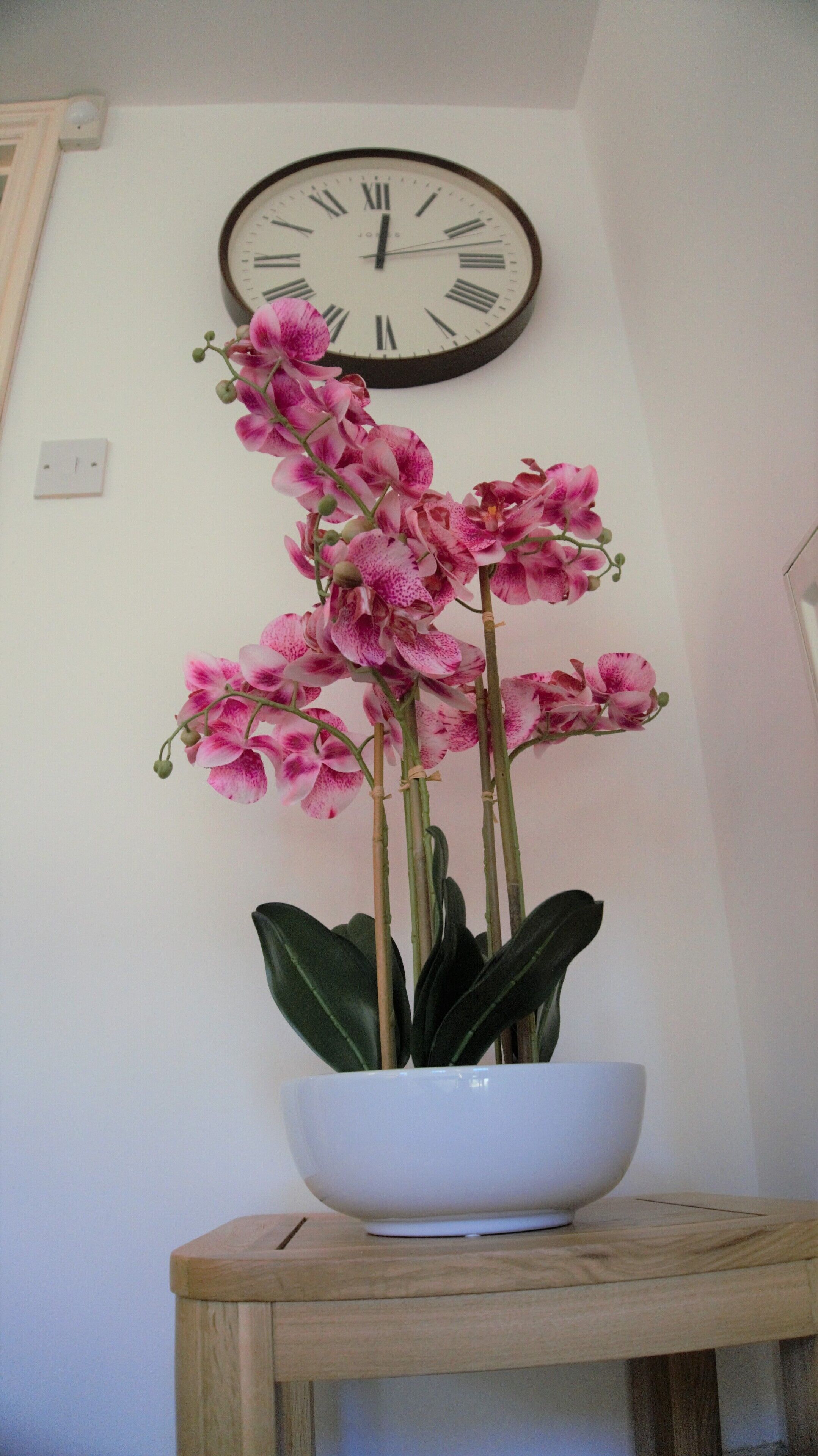 Standard Cottage, 1 Bedroom | Living room | LCD TV, DVD player