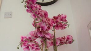 Una orquídea en maceta sobre una mesa de madera, con un reloj de pared encima.