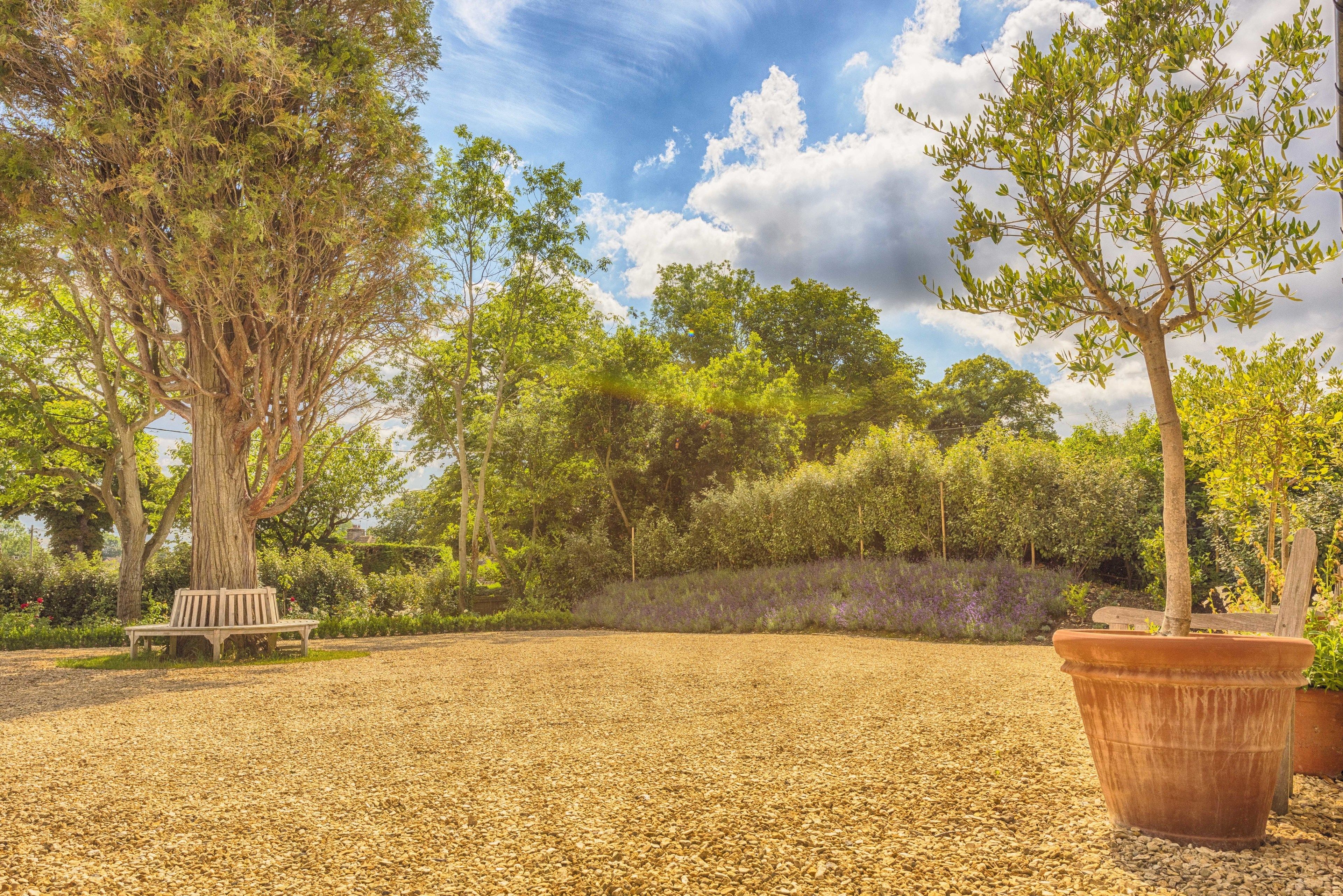 A park with a gravel path, a wooden bench, and a large tree.