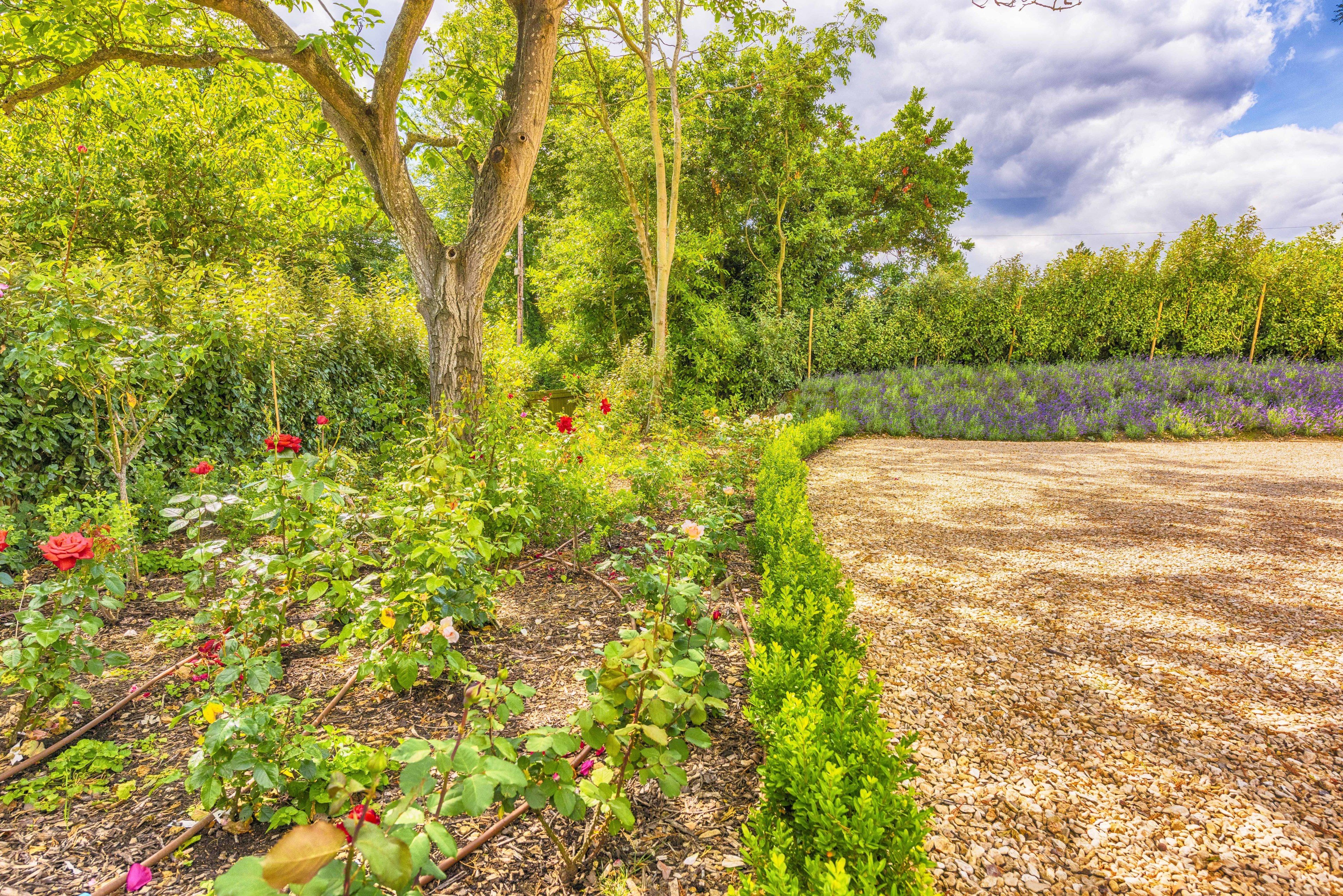 Ein Garten mit unterschiedlichen Pflanzen und Blumen, einem Kiesweg und Bäumen.
