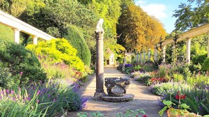 Un sendero de jardín con una fuente de piedra central, rodeado de diversas plantas y árboles en flor.