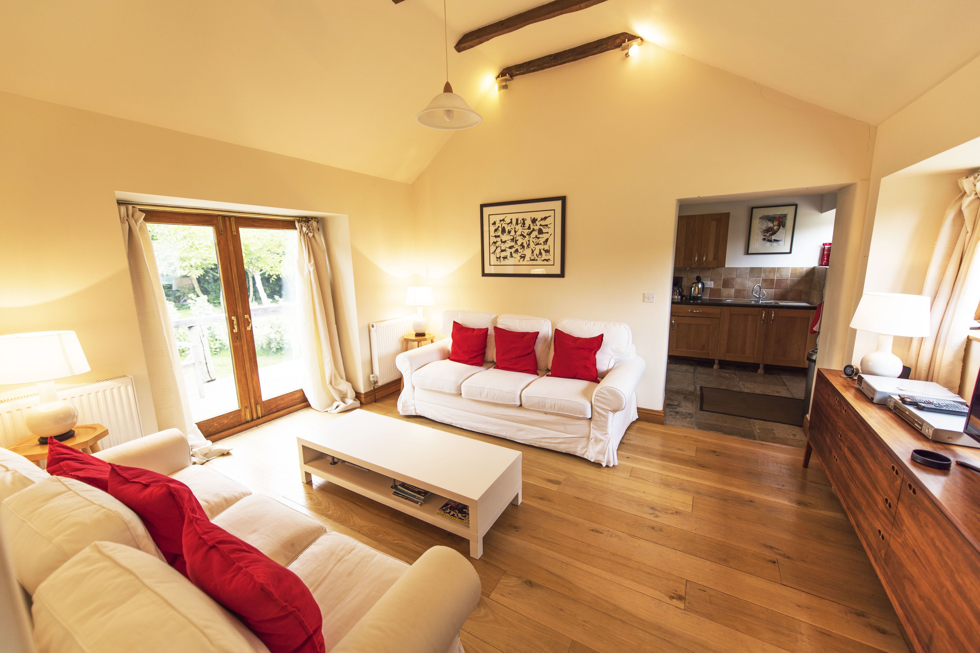 40-吋智慧型電視、數位頻道、乒乓球