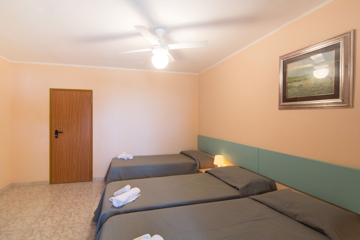 A room with two single beds, a ceiling fan, a framed picture on the wall, and a door.