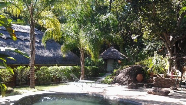 A tropical garden with a clear pool, thatched-roof structures, and lush greenery. - Sethule Lodge (Bulawayo)