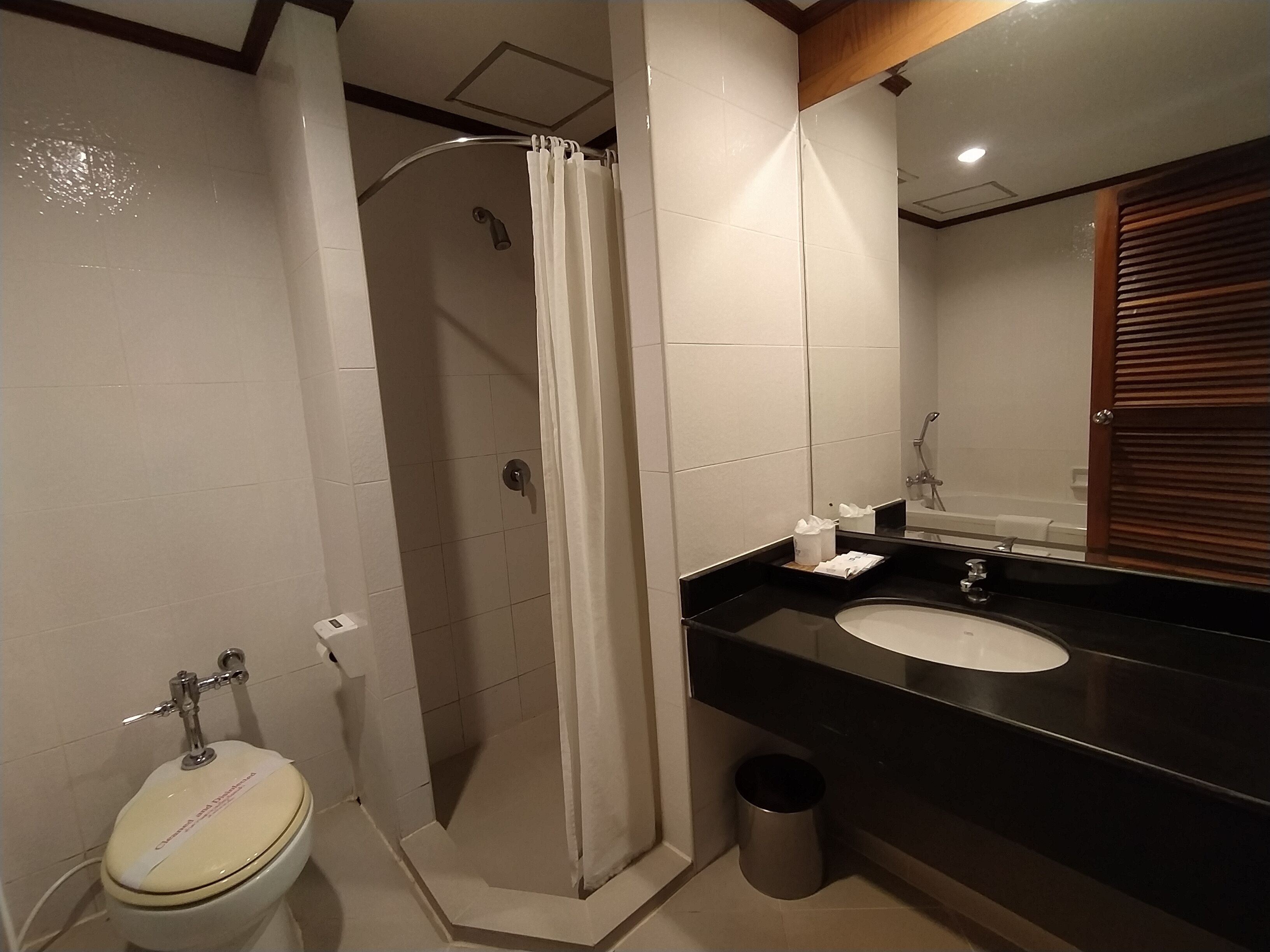Separate bathtub and shower, deep-soaking bathtub, rainfall showerhead