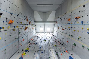Sportbereich