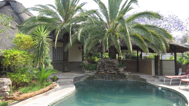 A pool surrounded by palm trees and a thatched-roof structure. - Parrot Lodge (Bulawayo)