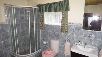 A bathroom with a shower, toilet, sink, and mirror.