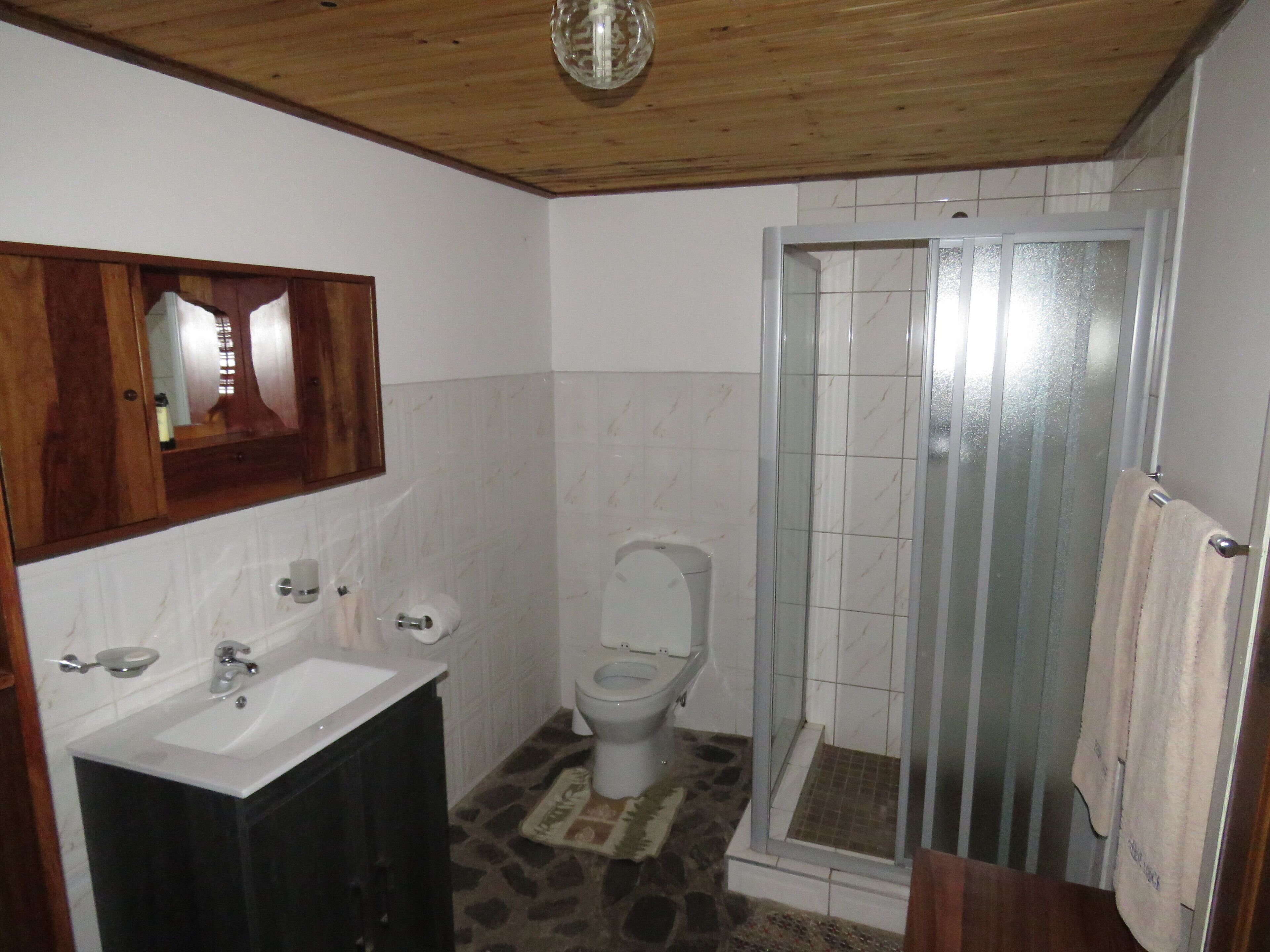 Een badkamer met een houten plafond, een wit wastafelmeubel, een toilet en een douchecabine met glazen wanden.