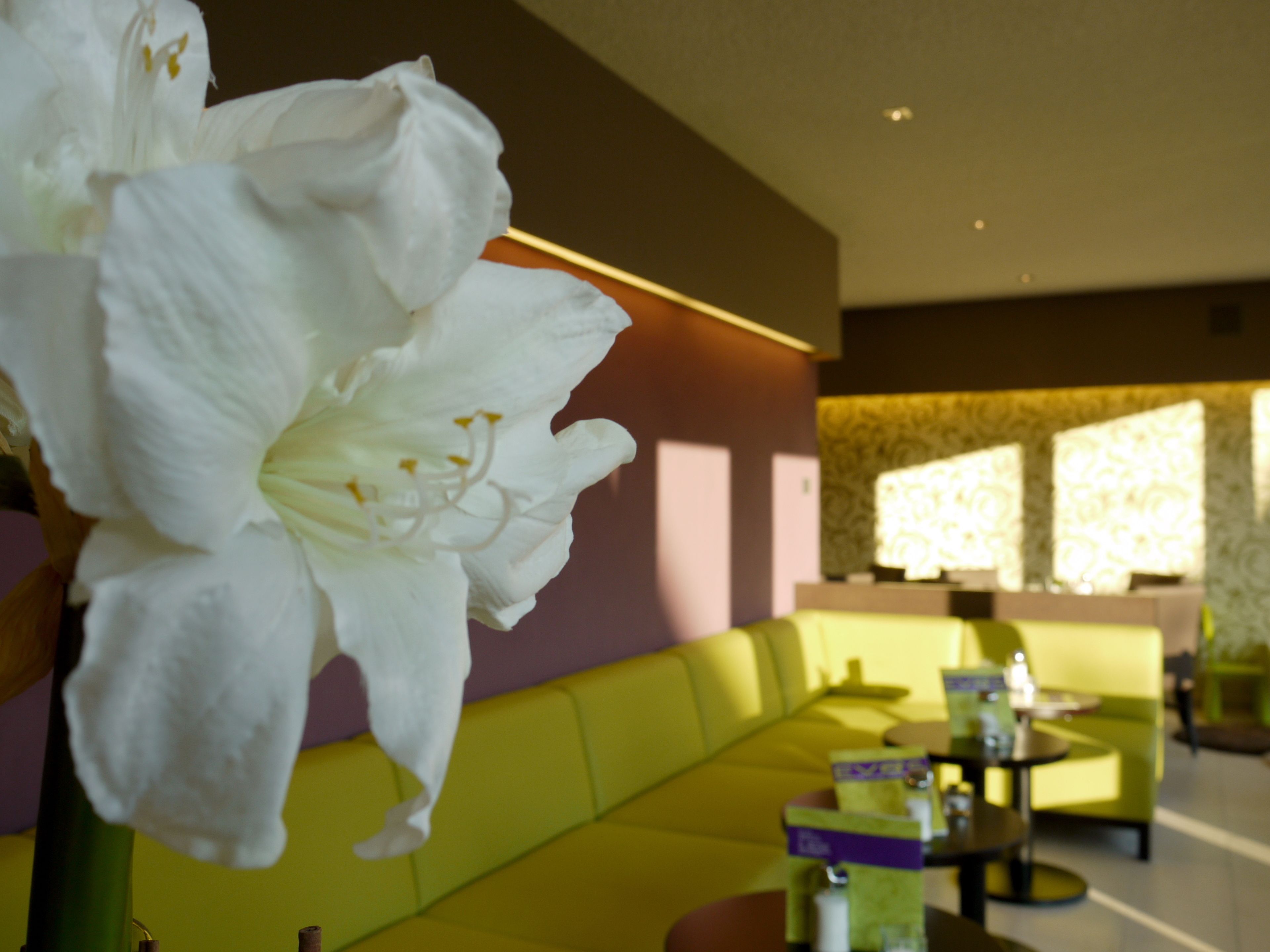 Cucina internazionale