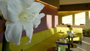 Una flor blanca en primer plano, con un sofá amarillo y una mesa al fondo.