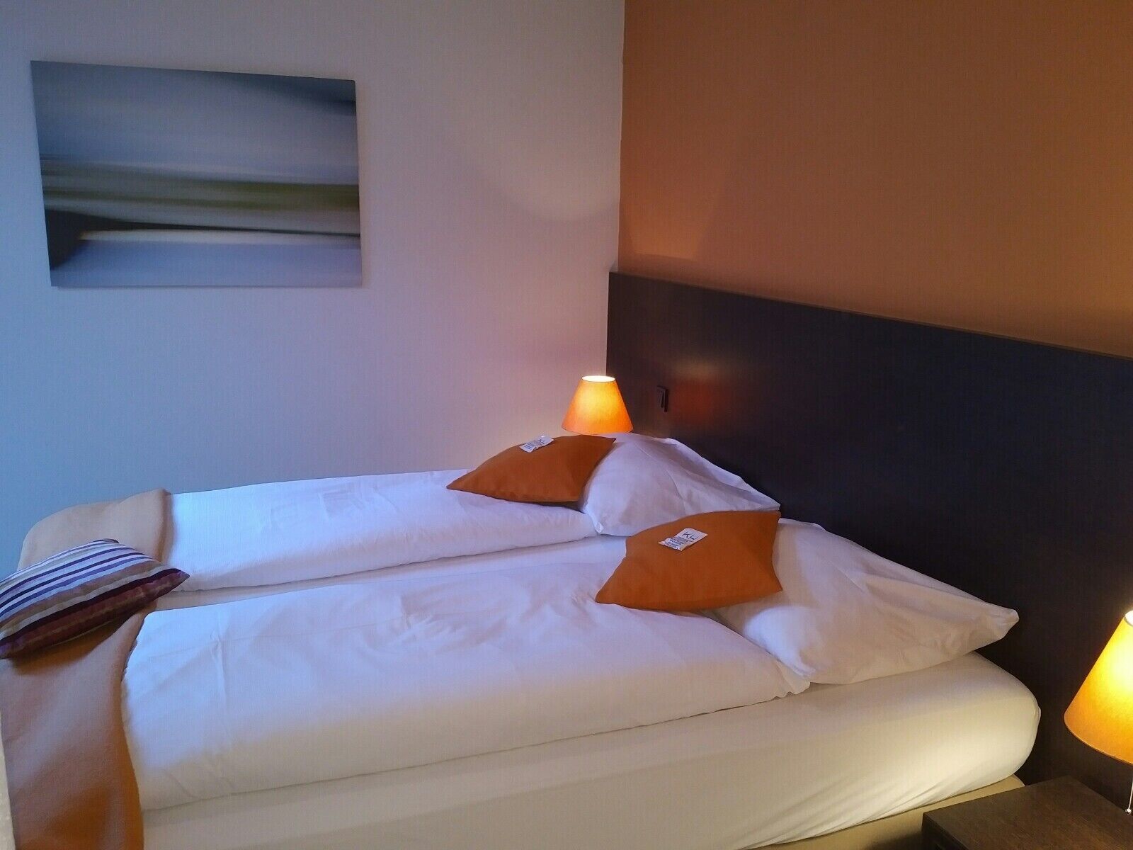 Standard Apartment, 1 King Bed with Sofa bed