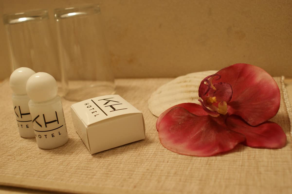 shower, free toiletries, hair dryer, slippers