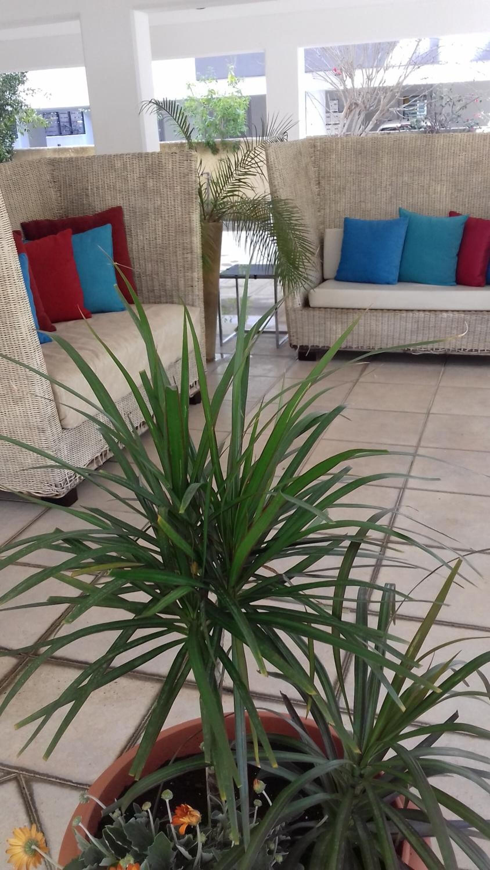 Photo - Irene's Apartments