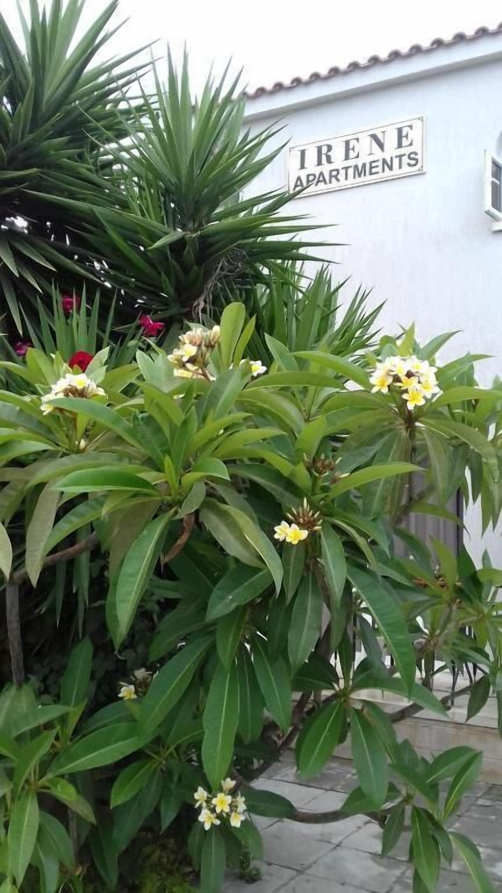 Photo - Irene's Apartments