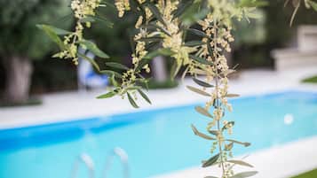 Outdoor pool, sun loungers