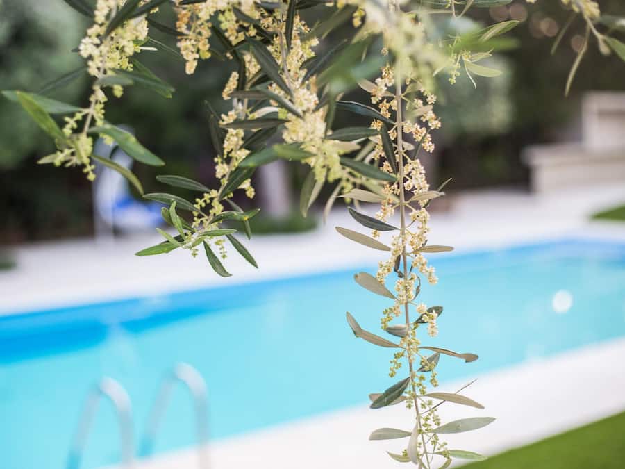 A pool with clear blue water, surrounded by greenery and a white poolside area.