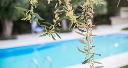 Corina Suites and Apartments