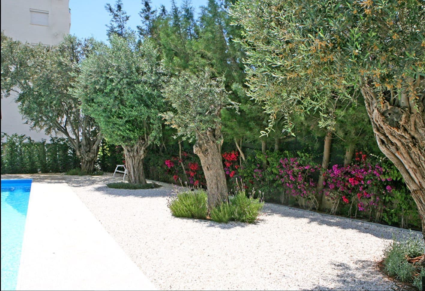 A garden with a pool, trees, and flowering plants.