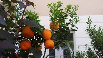 Veranda