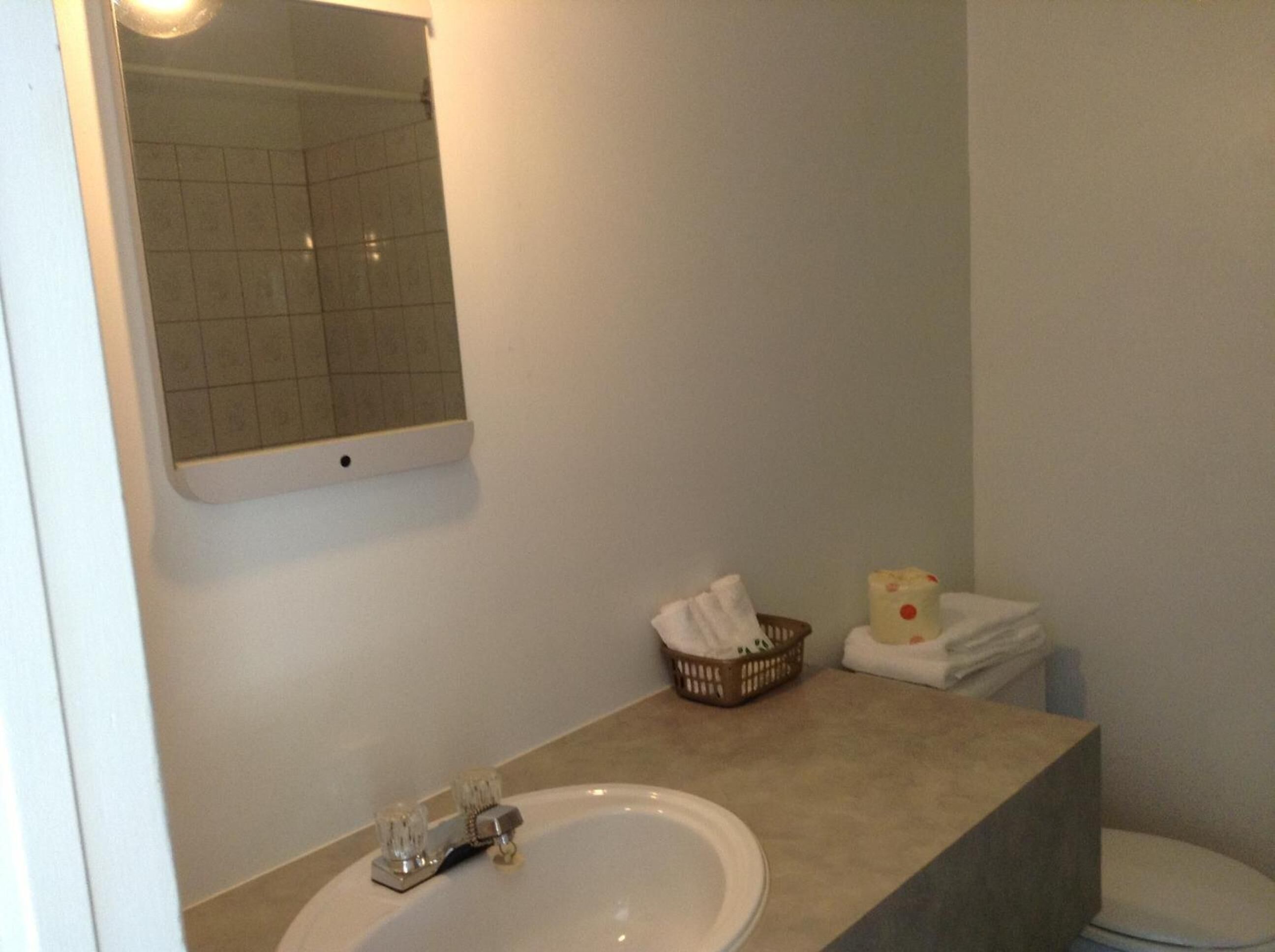 Un baño con lavabo, espejo e inodoro.