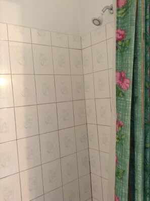 Ensemble baignoire-douche, séchoir à cheveux, serviettes fournies