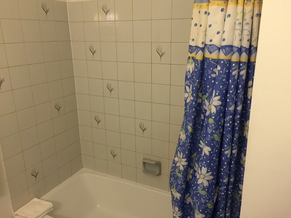 Une salle de bain avec un rideau de douche, une baignoire et un mur recouvert de carreaux décorés d’un motif floral.