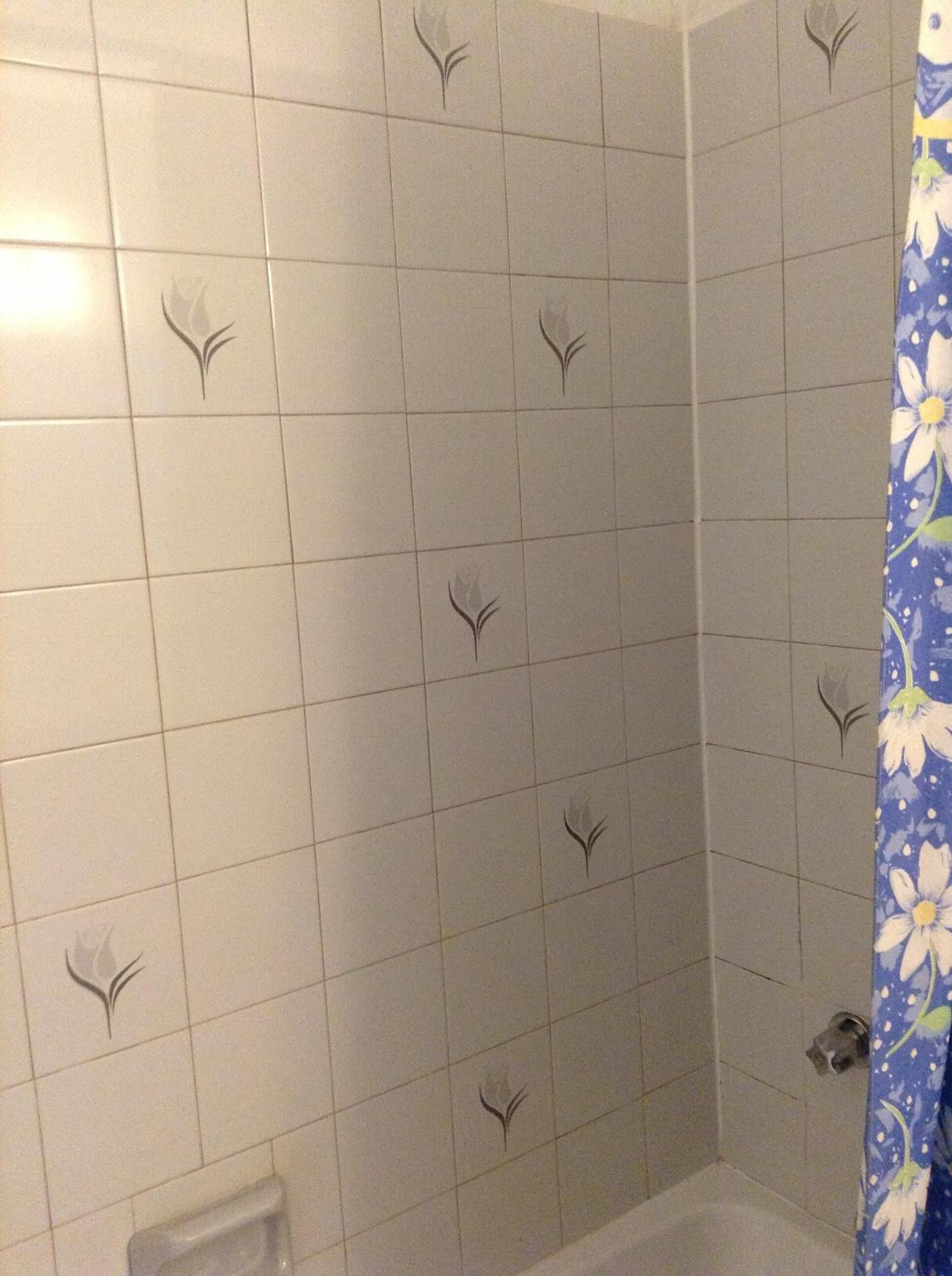 Combined shower/tub, hair dryer, towels