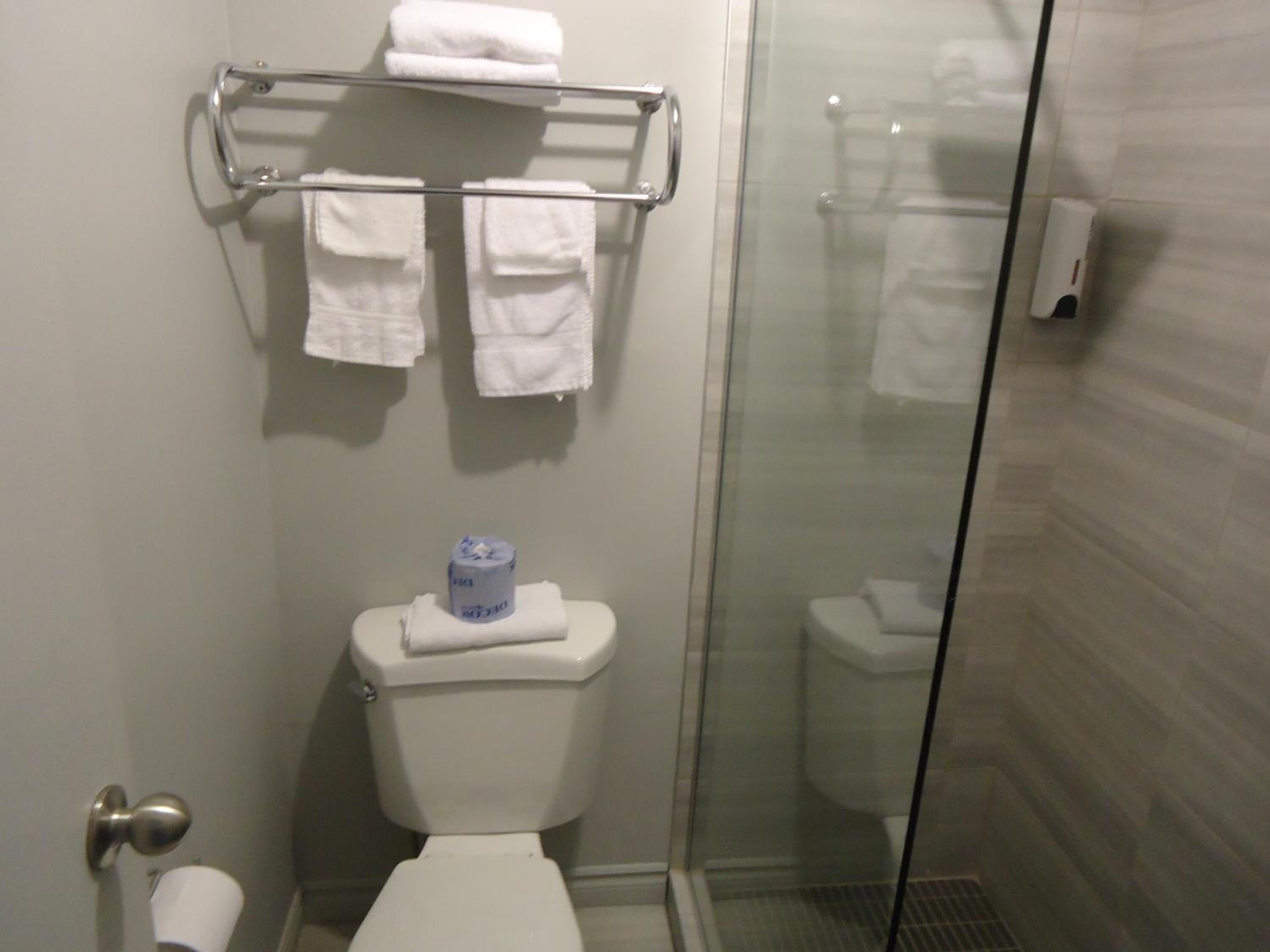 A bathroom with a toilet, a glass shower enclosure, and a towel rack with folded towels.