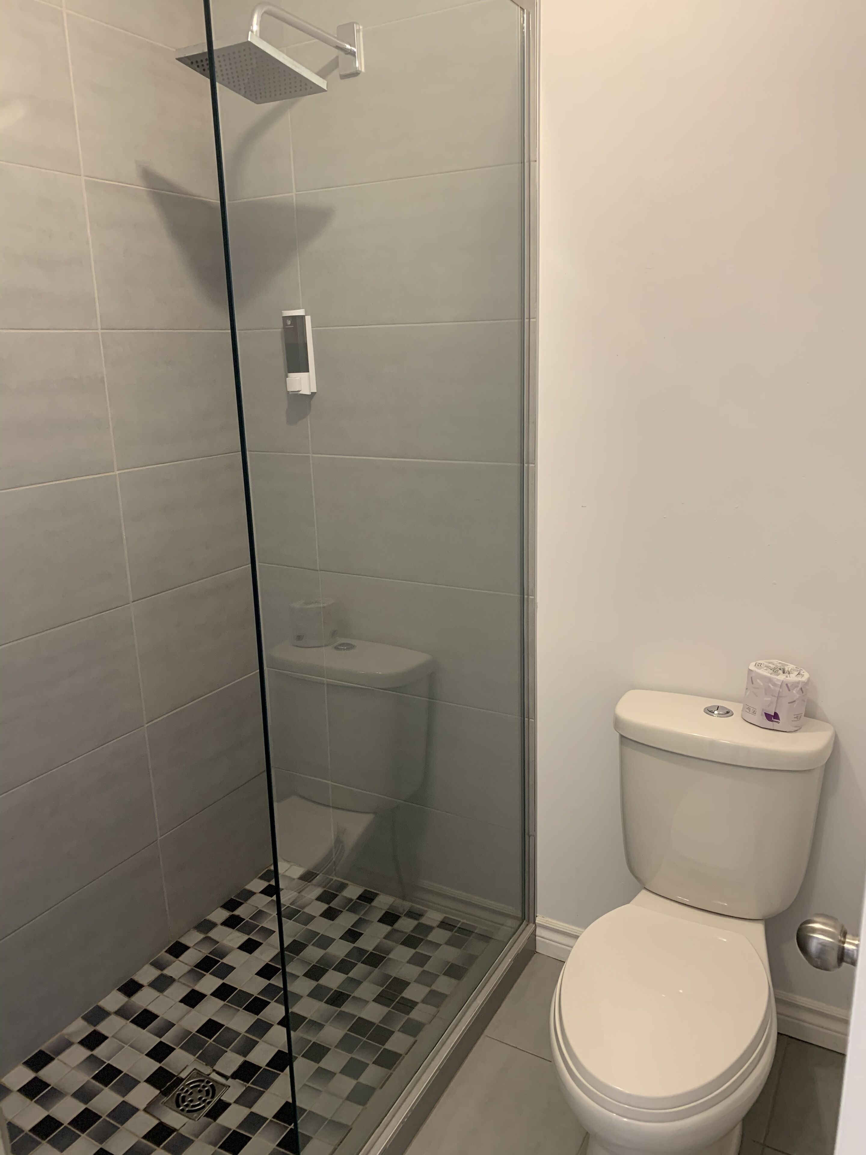 Une salle de bain avec une douche à parois de verre, des toilettes et un carrelage à motifs à carreaux.