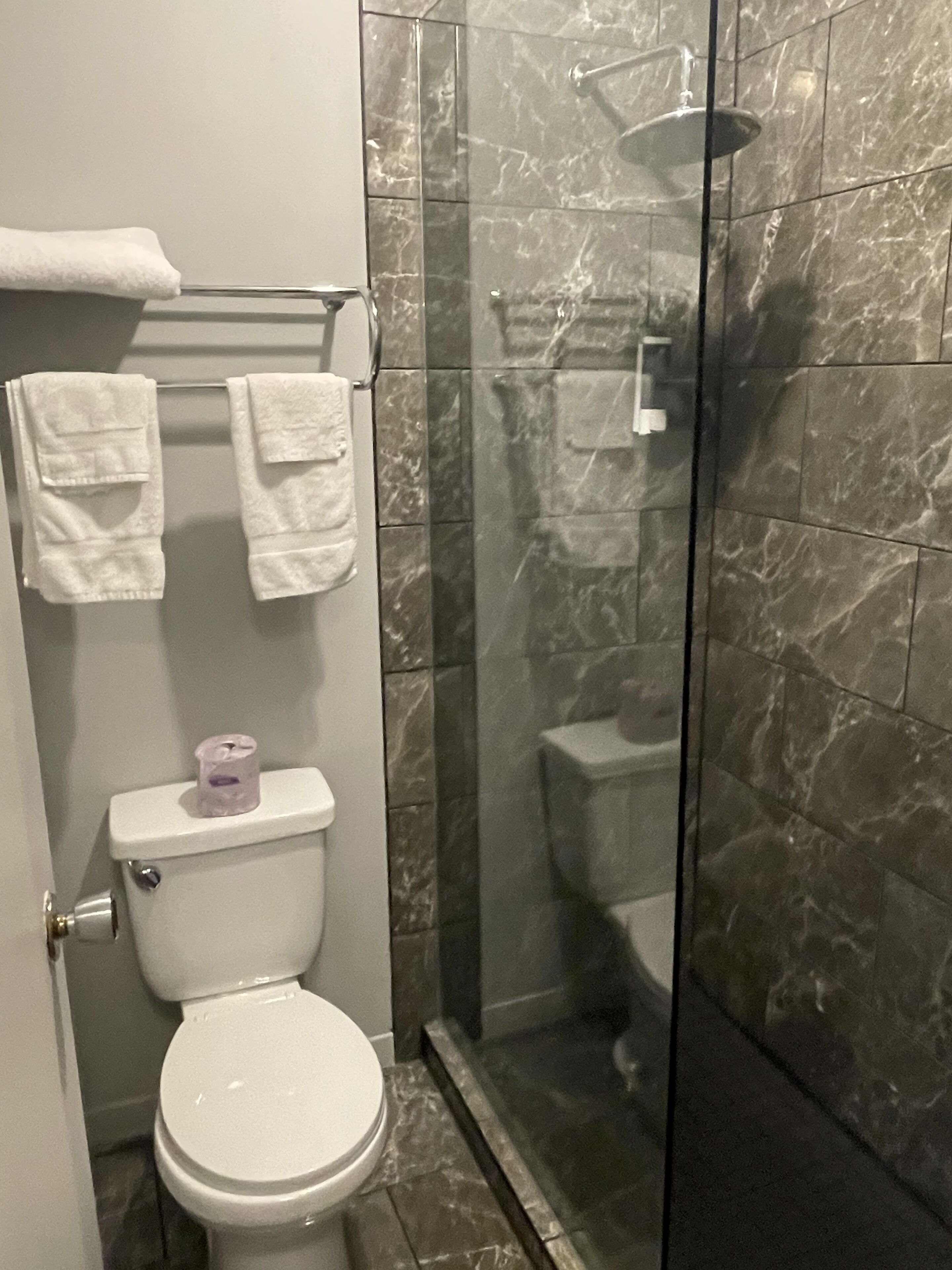 A bathroom with a toilet, a shower, and a glass-enclosed shower stall.