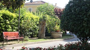 Un banc rouge, un arbre et un bâtiment en arrière-plan.
