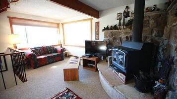 Televisión, chimenea, reproductor de DVD