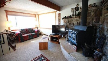 Televisión, chimenea, reproductor de DVD