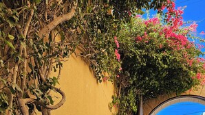 Una bicicleta estacionada junto a una pared con suelo de adoquines, una pared amarilla y una puerta azul al fondo.
