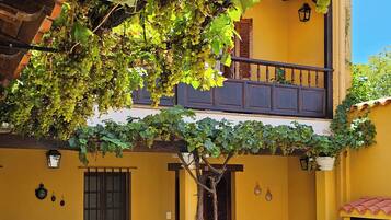 A courtyard with a yellow building, wooden furniture, potted plants, and a tree with grapevines.