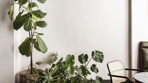 接待櫃台