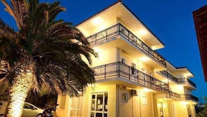 Unclassified image, 3 of 31, button - Karras Livin (Zakynthos)