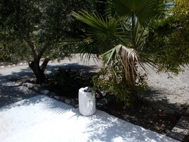 Área da propriedade