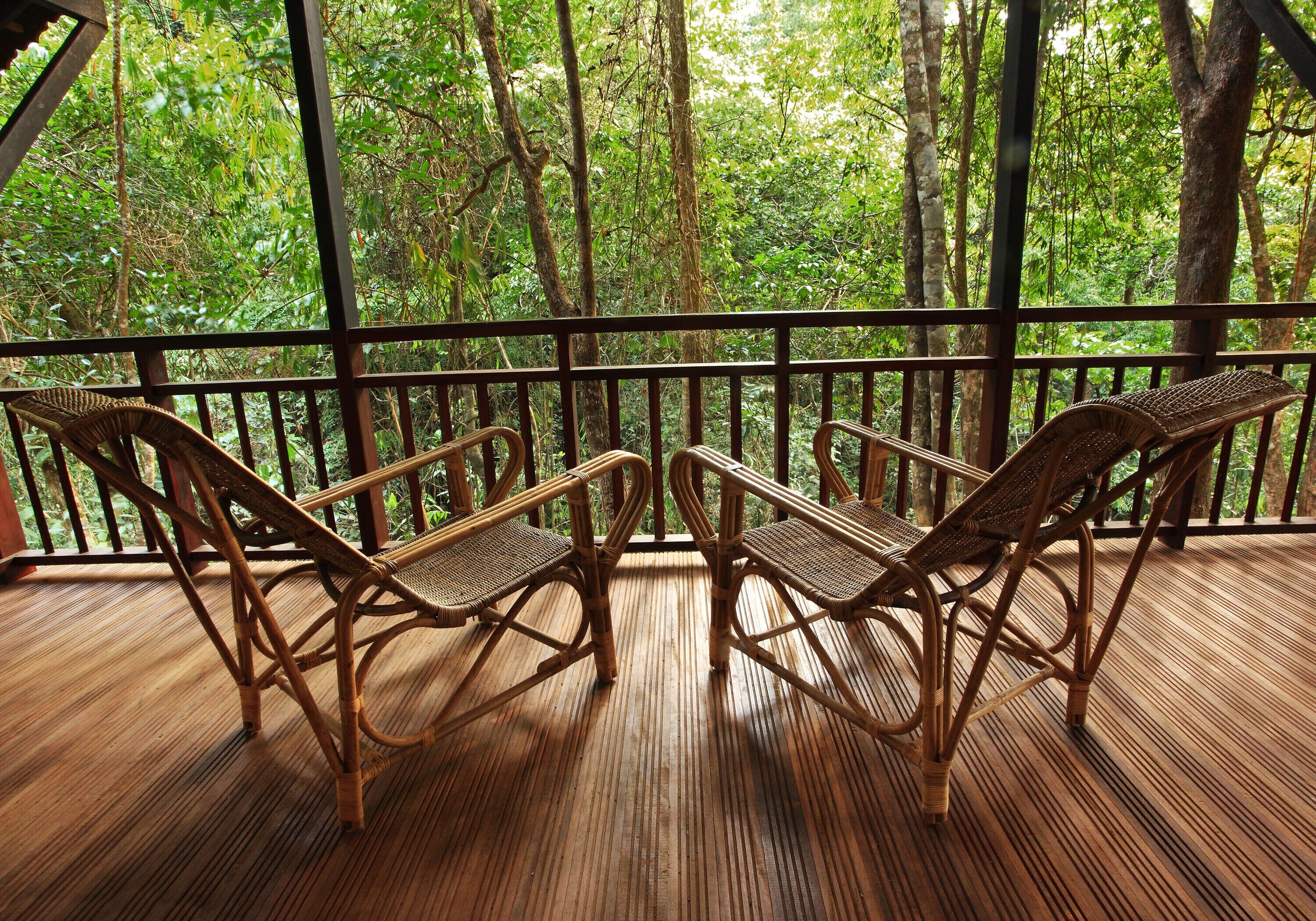 A wooden deck with wicker chairs and a view of dense forest.
