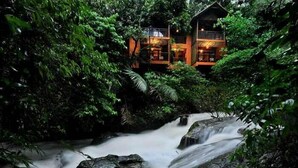 A waterfall in a lush forest with a lodge in the background. - Vythiri Resort (Vythiri)
