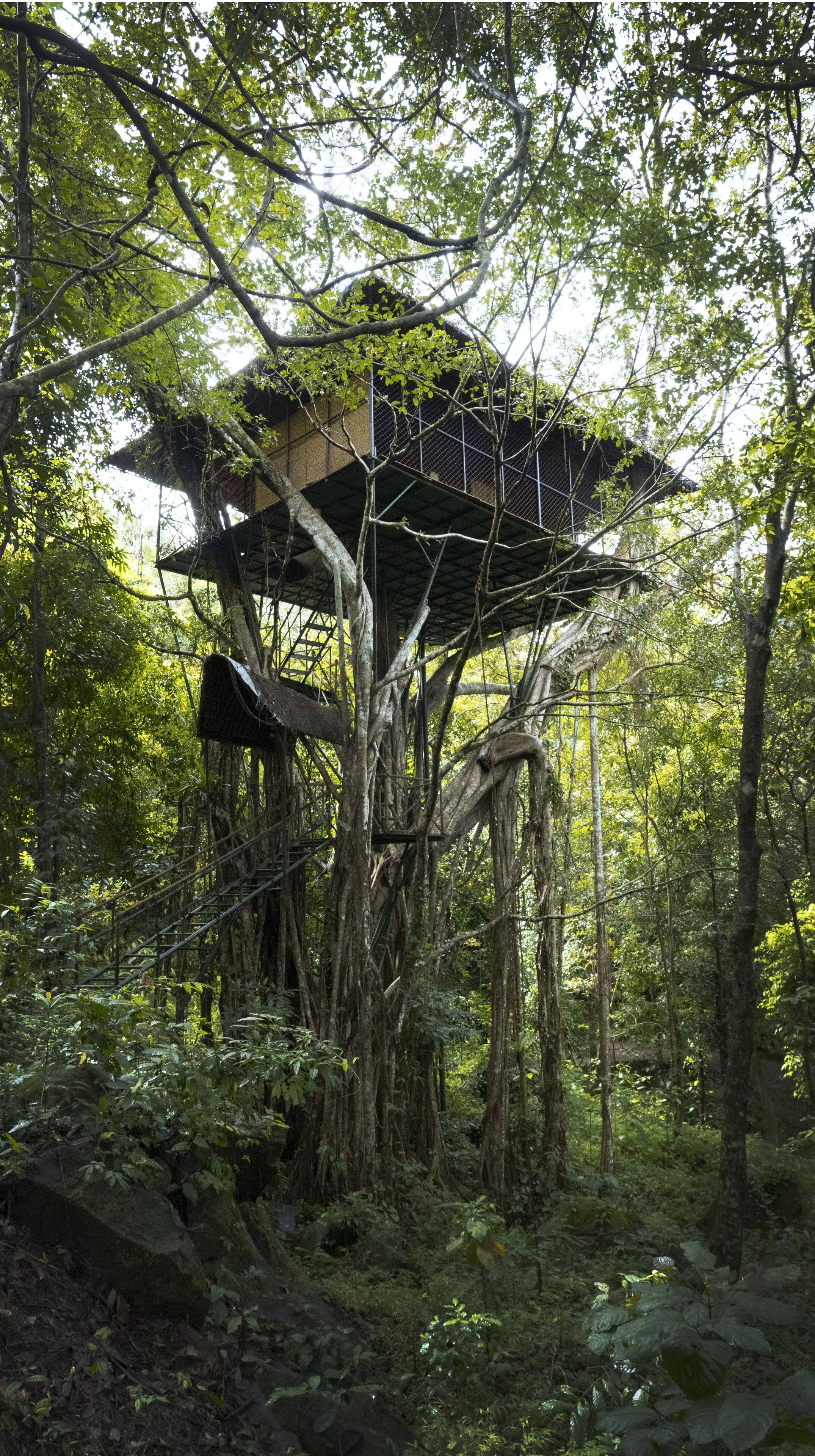 A treehouse structure built into a forested area with multiple levels and a metal staircase.
