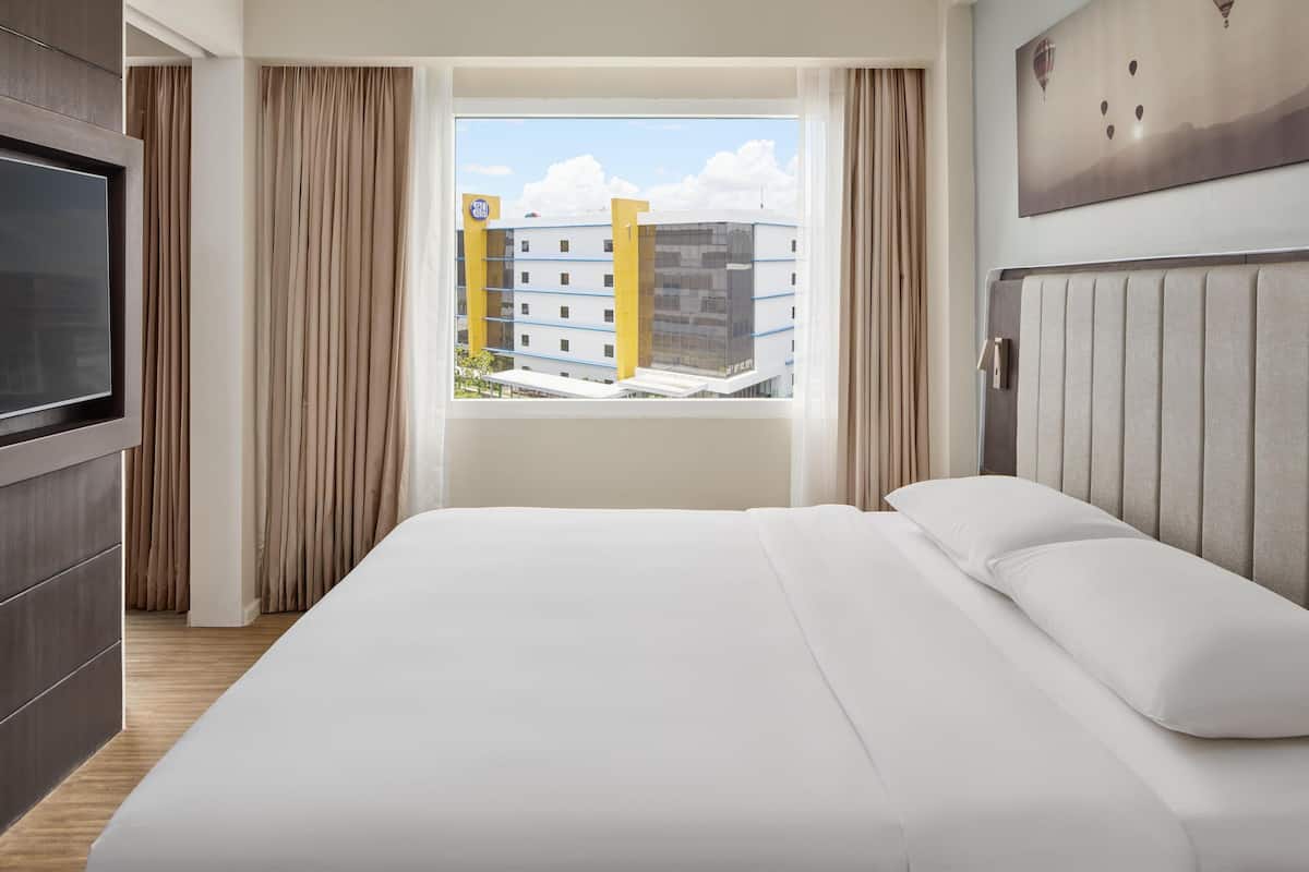 A hotel room with a large bed, a TV, a window with curtains, and a view of buildings outside.