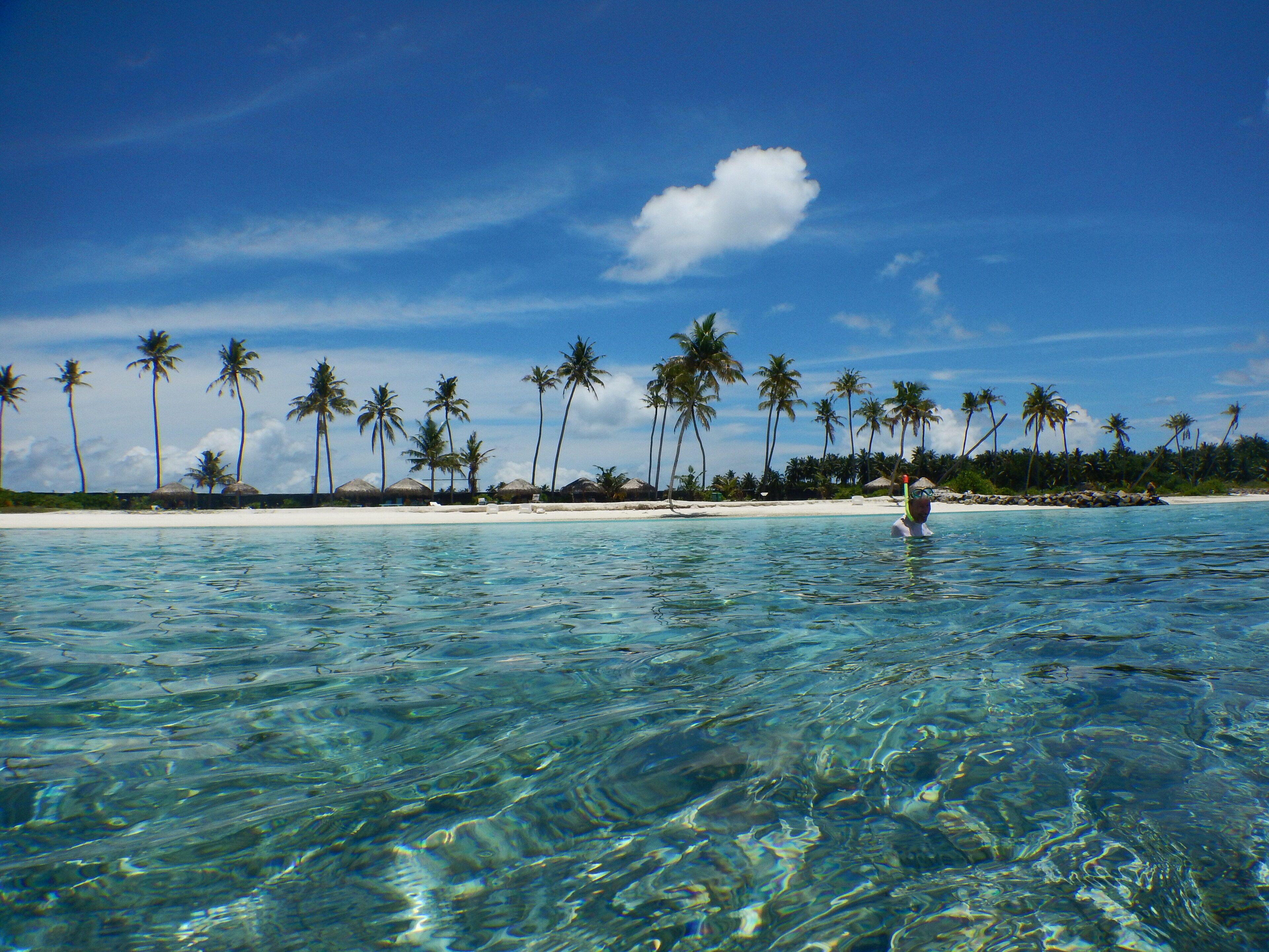 Sable blanc, chaises longues, plongée sous-marine, snorkeling